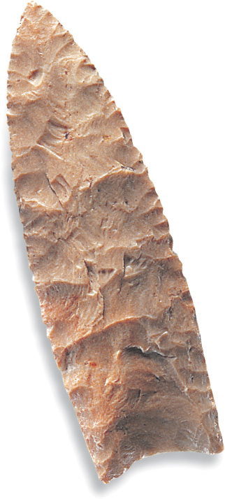 pointed stone spear-head