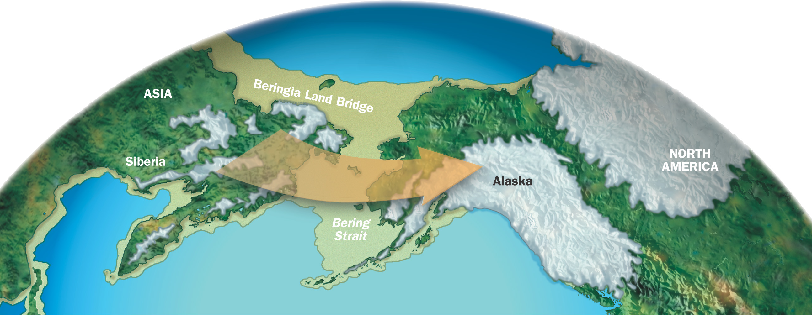 Map shows the Beringia Land Bridge connecting Siberia and Alaska.