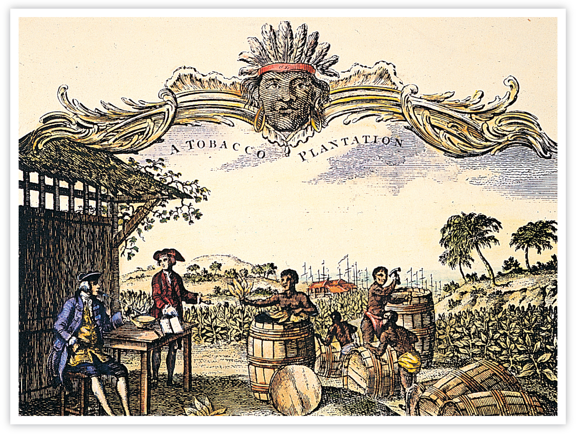 an engraving titled A Tobacco Plantation shows African-American slaves packing tobacco leaves in barrels.