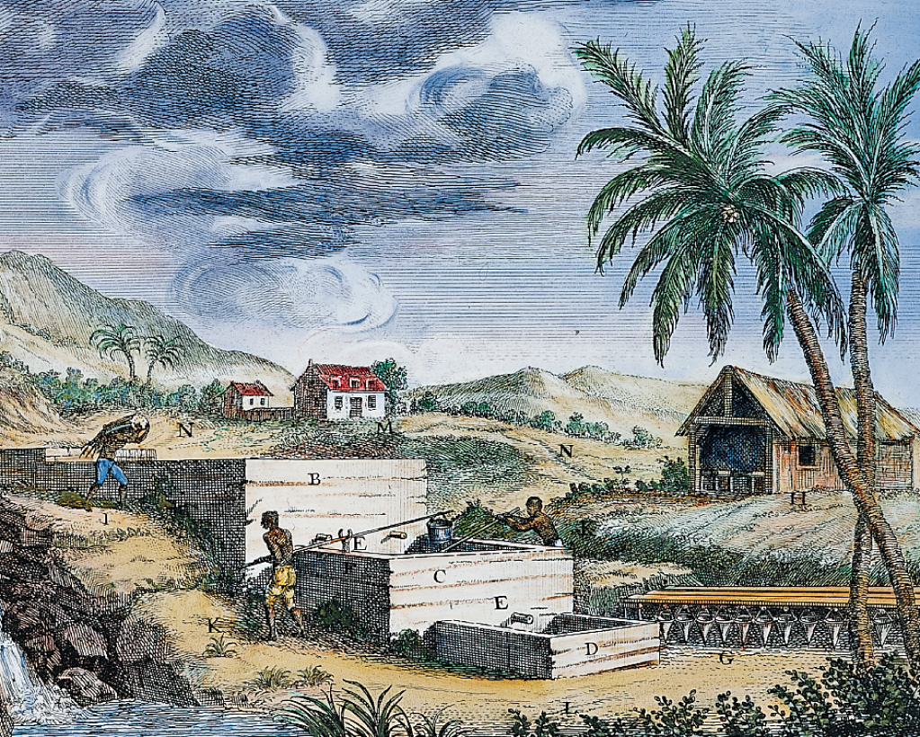 Illustration: slaves work in a field with a stream and palm trees.