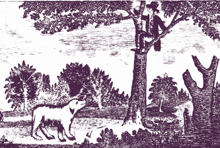 In a drawing, a man sits in a tree, above a large animal that looks like a dog.