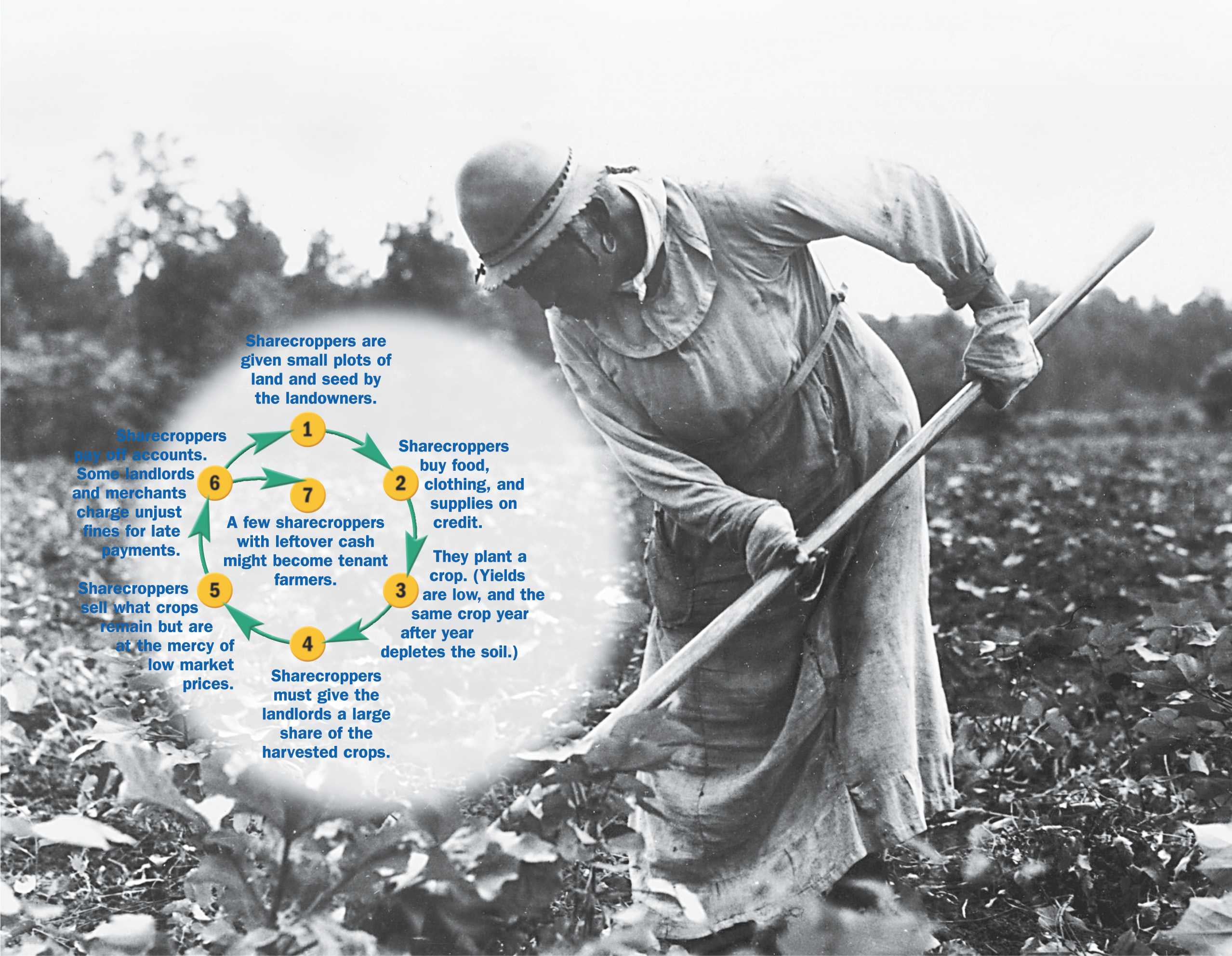 A circular chart showing how sharecropping works accompanies a photo of a woman working in a field.