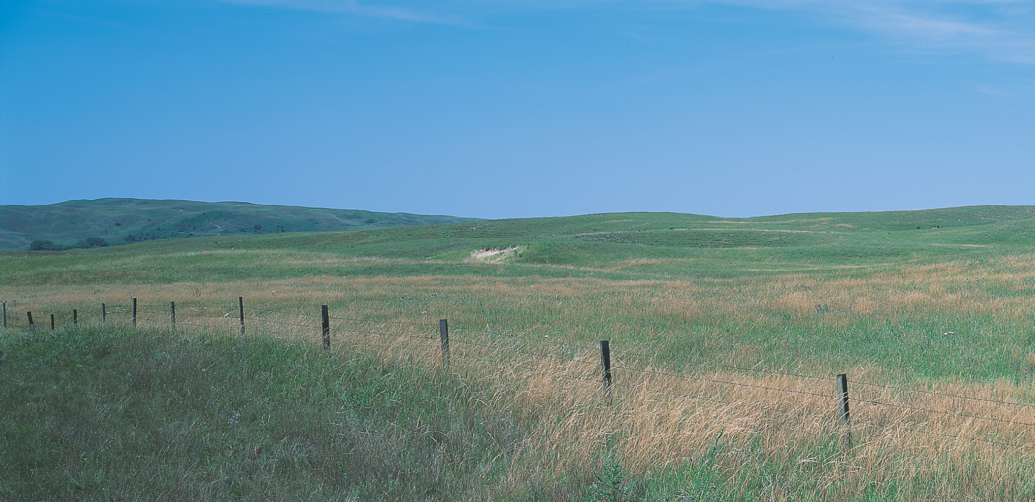 A wire fence cuts through a prairie field.