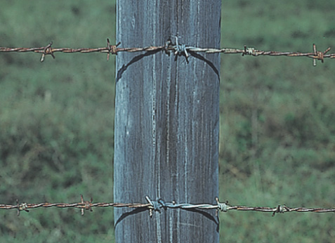 A photo: barbed wire attached to a fencepost.