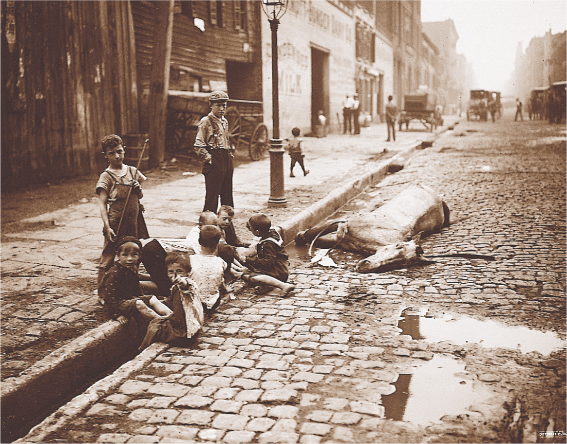 A photo: children play in a gutter, while a horse lies dead in the street next to them.