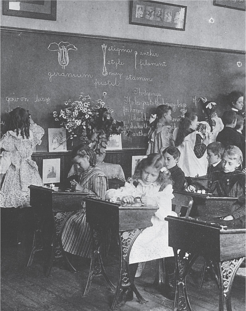 A photo: children sit at desks and write on a blackboard in a school.