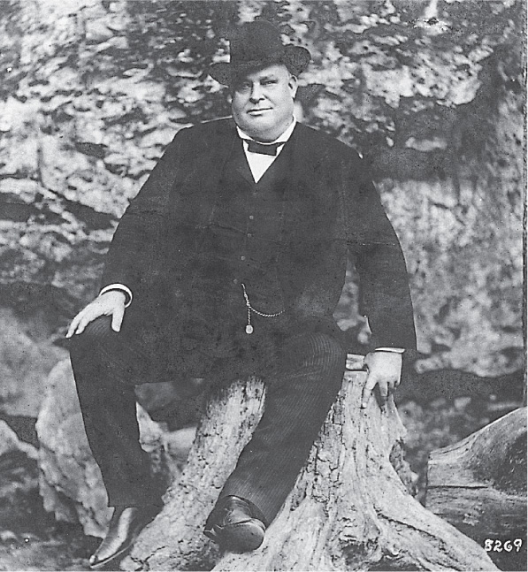 Photo: a portly man wearing a suit sits on a tree stump