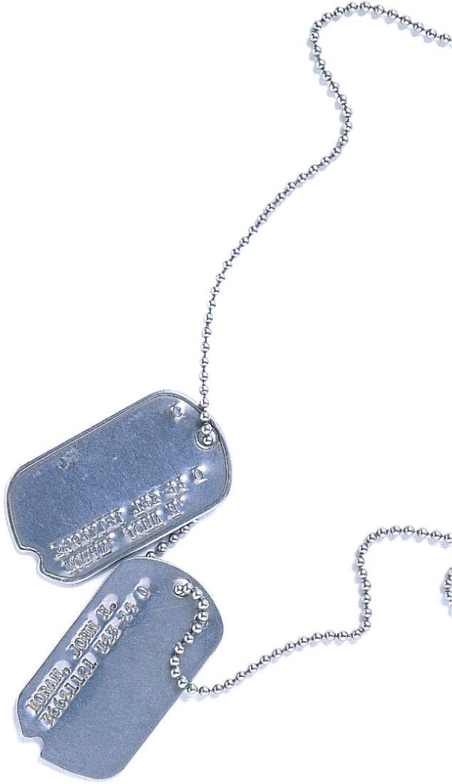 photo: military dog tags on a chain.