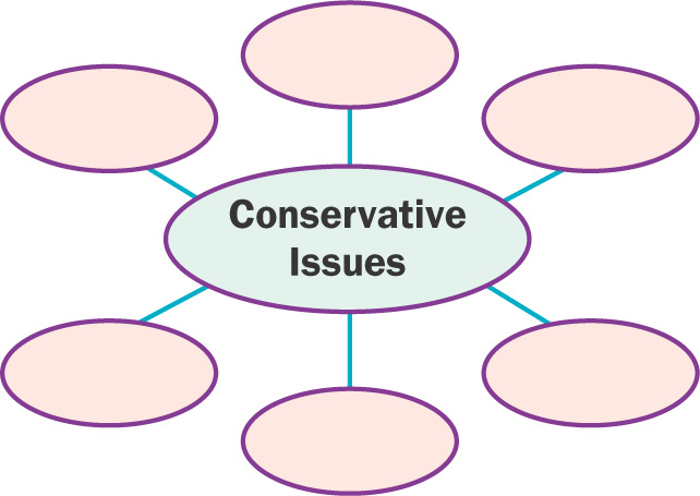 Diagram: Six blank ovals are surround the words Conservative Issues.