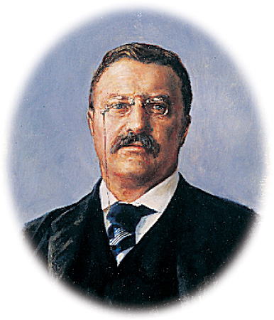 Portrait: Theodore Roosevelt