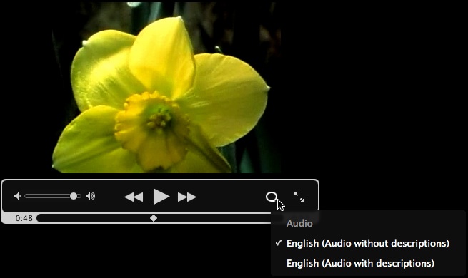 The iTunes controller displaying a list of languages.