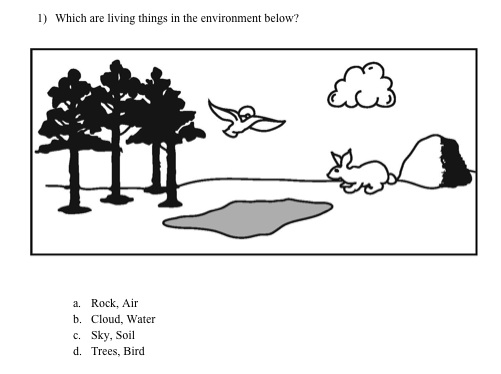 Drawing of trees, bird, rabbit, pond, cloud, rock.